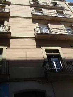 Chic & Basic Tallers Gæstehus