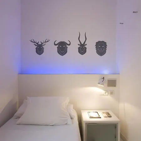 Chic & Basic Tallers