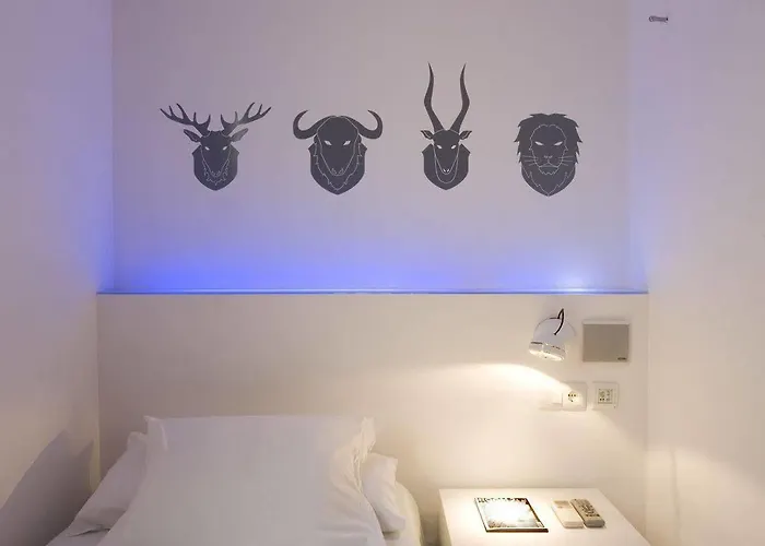 Chic & Basic Tallers