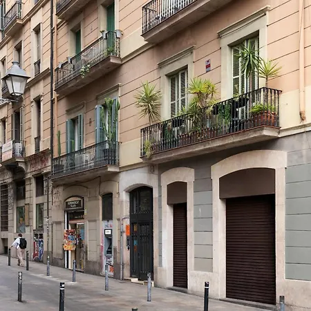 Chic & Basic Tallers 3*